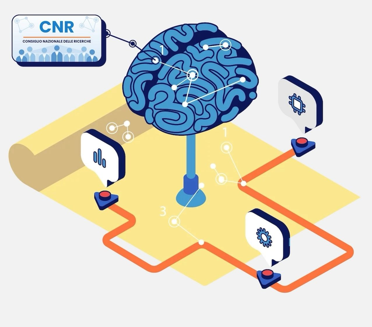 brain_cnr